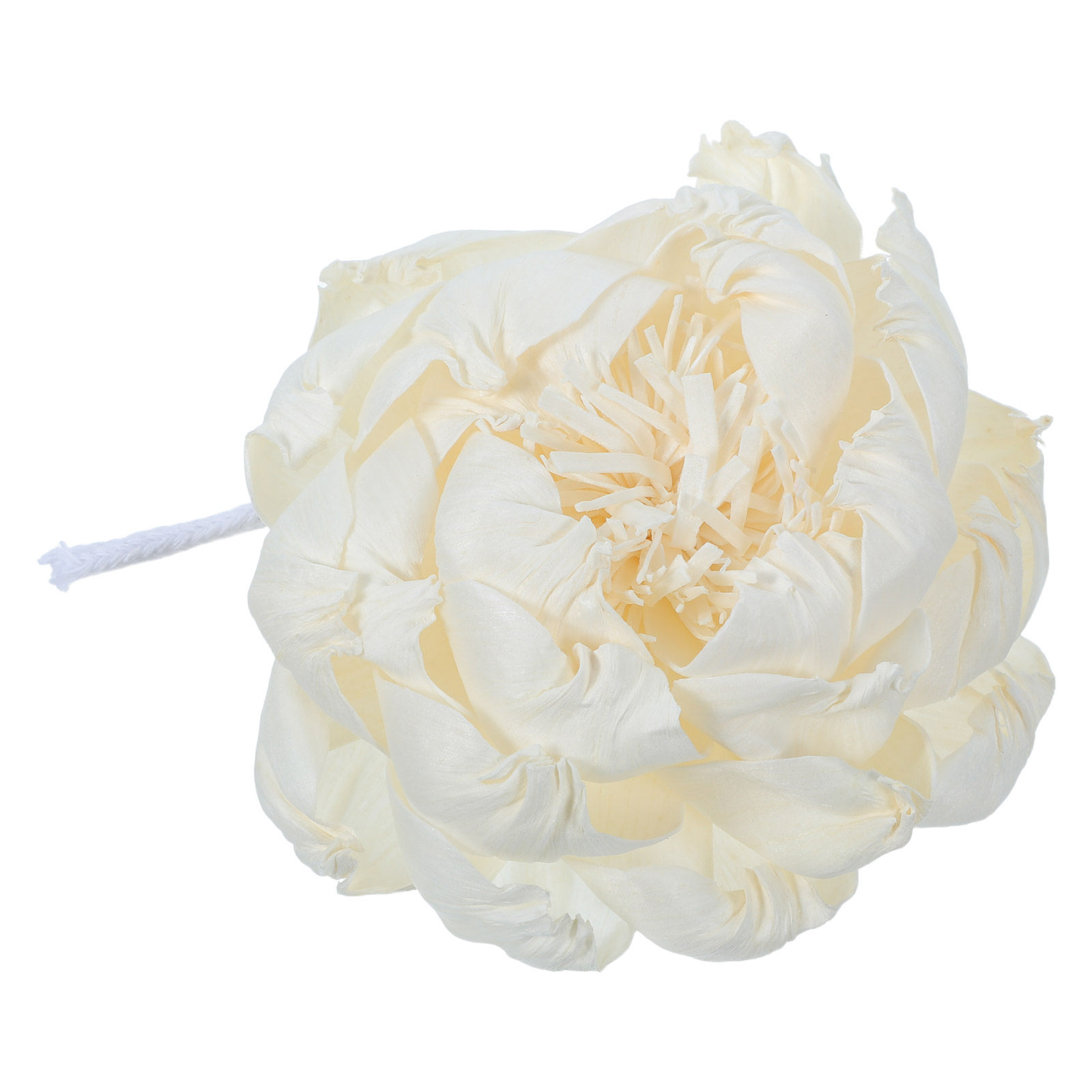 Pfingstrosenkopf-Duftdiffusor  – Fragrance In Home Bewertung und Preis